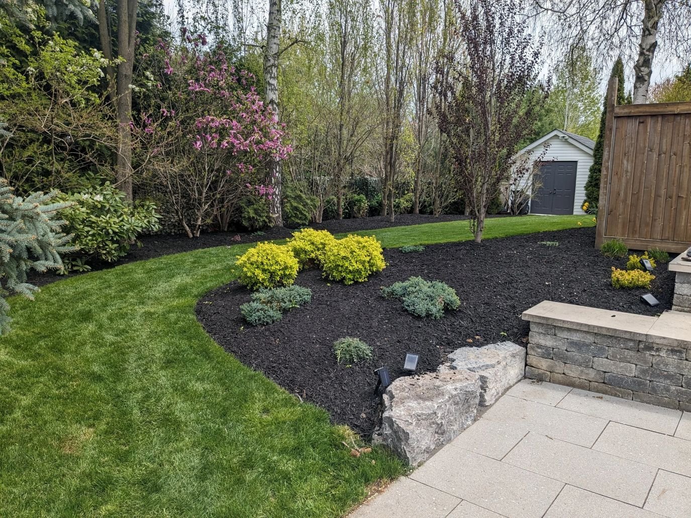 Professional lawn cleanup and mowing service in Vineland featuring fresh dark mulch and crisp garden edges.