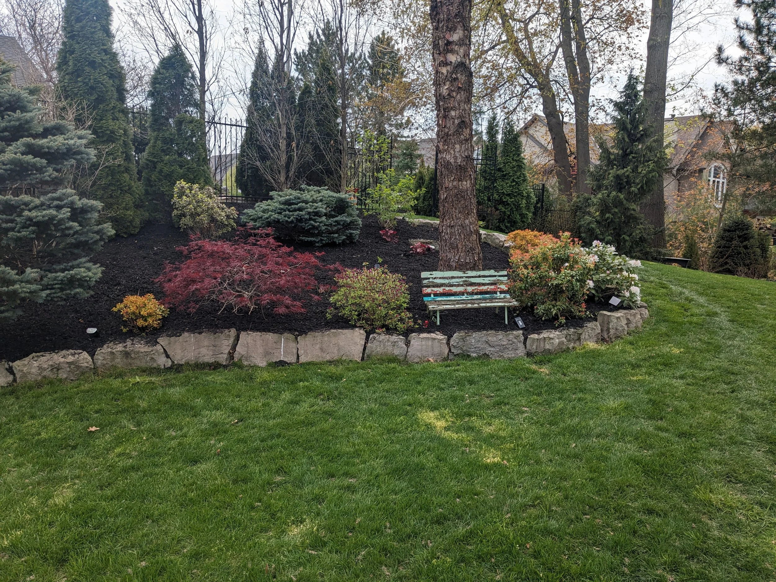 A professionally landscaped garden bed featuring a tiered stone retaining wall, dark mulch, and a variety of ornamental plants including a red Japanese Maple, blue spruce, and flowering rhododendrons.