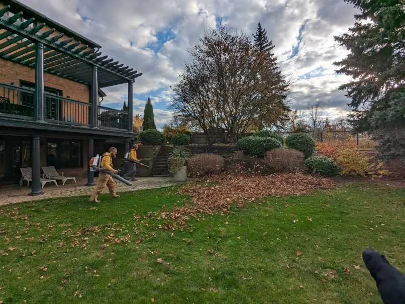 Gardenstone Landscaping professionals using leaf blowers to clear a large Thorold backyard during a fall seasonal cleanup.