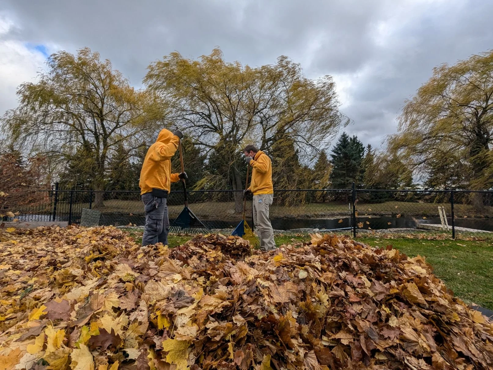 Our Smithville landscaping team providing fall leaf cleanup services for a residential backyard.