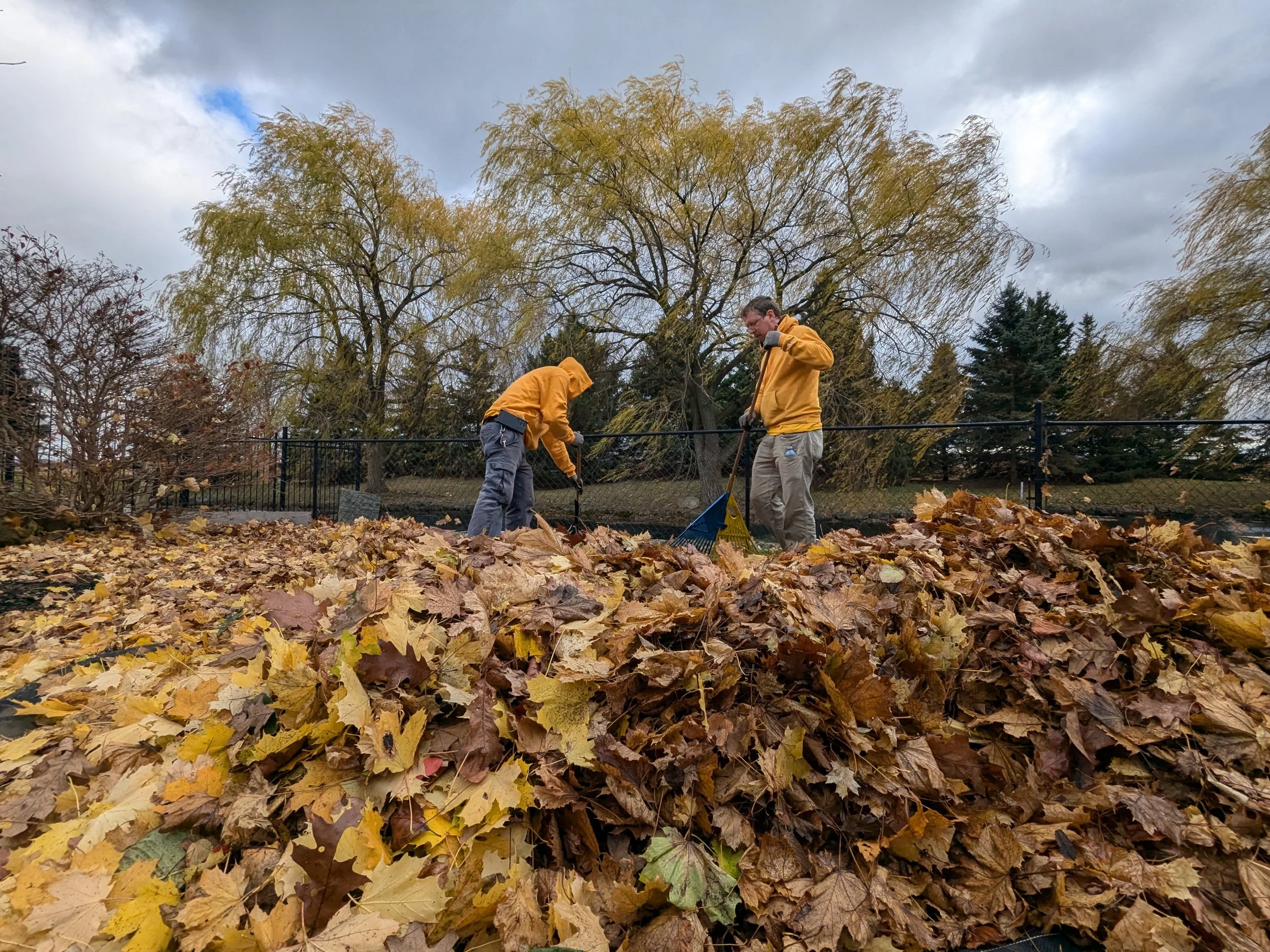 Our Smithville landscaping team providing fall leaf cleanup services for a residential backyard.