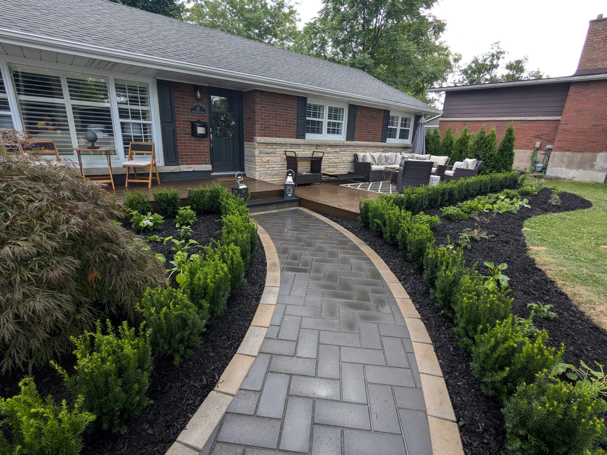 A modern front yard landscape featuring a  bungalow with a large brown wood deck, a grey wicker patio furniture set, and a curved grey paver walkway lined with manicured boxwood hedges and fresh black mulch.