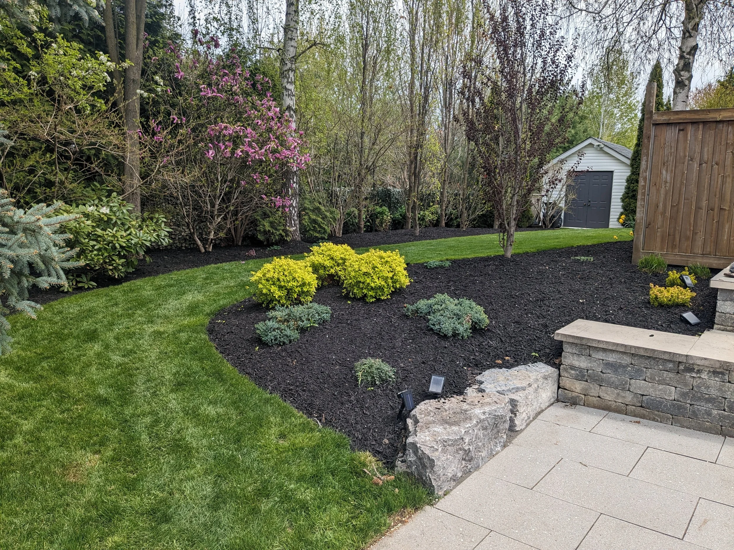 A pristine landscape after a professional cleanup service, featuring crisp garden bed edges, fresh dark mulch, and a perfectly mowed lawn.