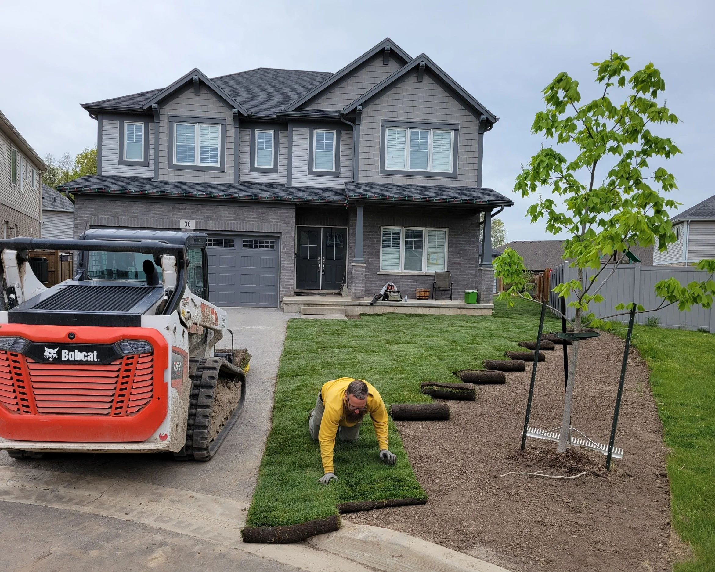 A professional landscaper laying fresh rolls of sod at a new home in Welland