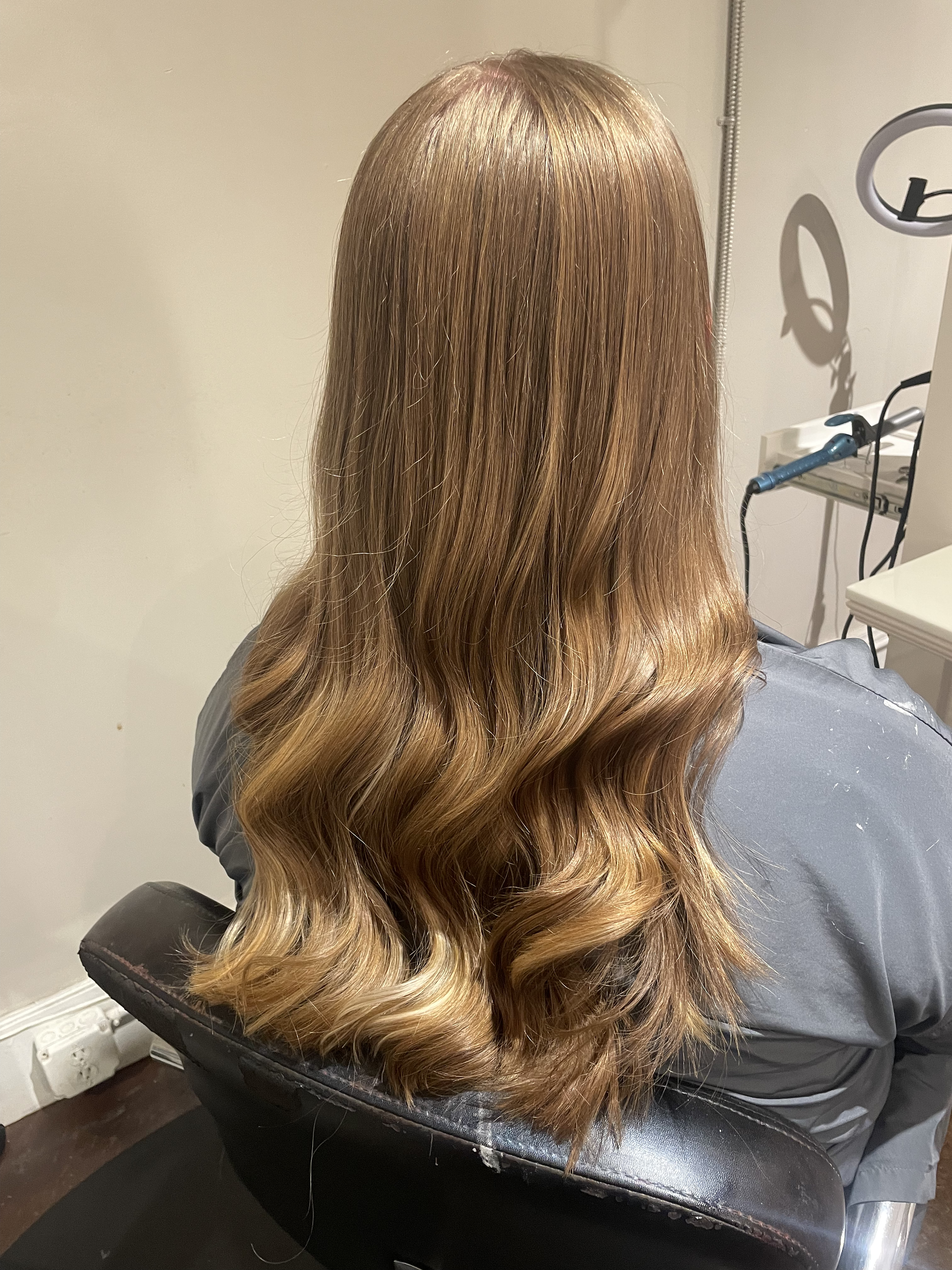 anna hair 3.png