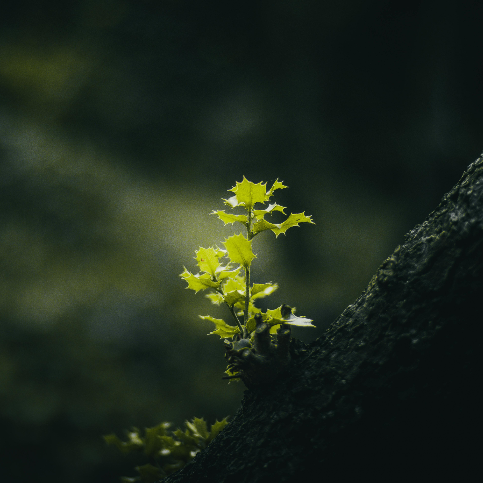 Quand l'écoanxiété s'invite dans les entreprises