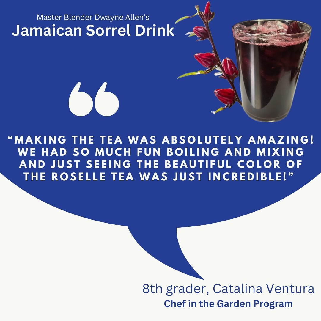 &ldquo;Making the tea was absolutely amazing! We had so much fun boiling, mixing and seeing the beautiful color of the roselle tea was just incredible!&rdquo; - an 8th grade student from Catalina Ventura School sharing their feedback preparing the Ja