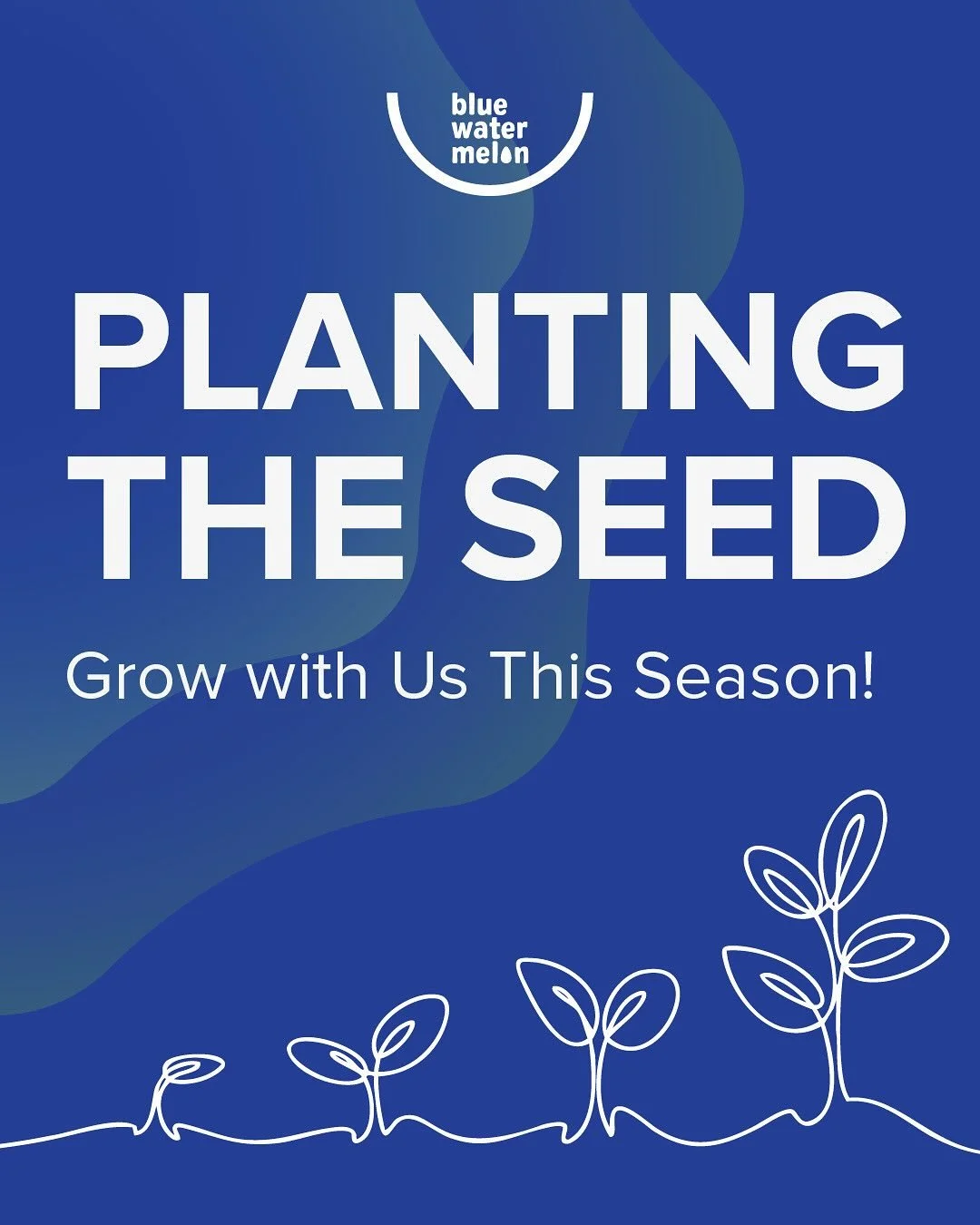 With about six weeks left to go in 2025, we&rsquo;re looking to grow something great: a group of 25 new monthly donors looking to make healthy foods more accessible and available to Arizona students and families.

Blue Watermelon Project&rsquo;s prog