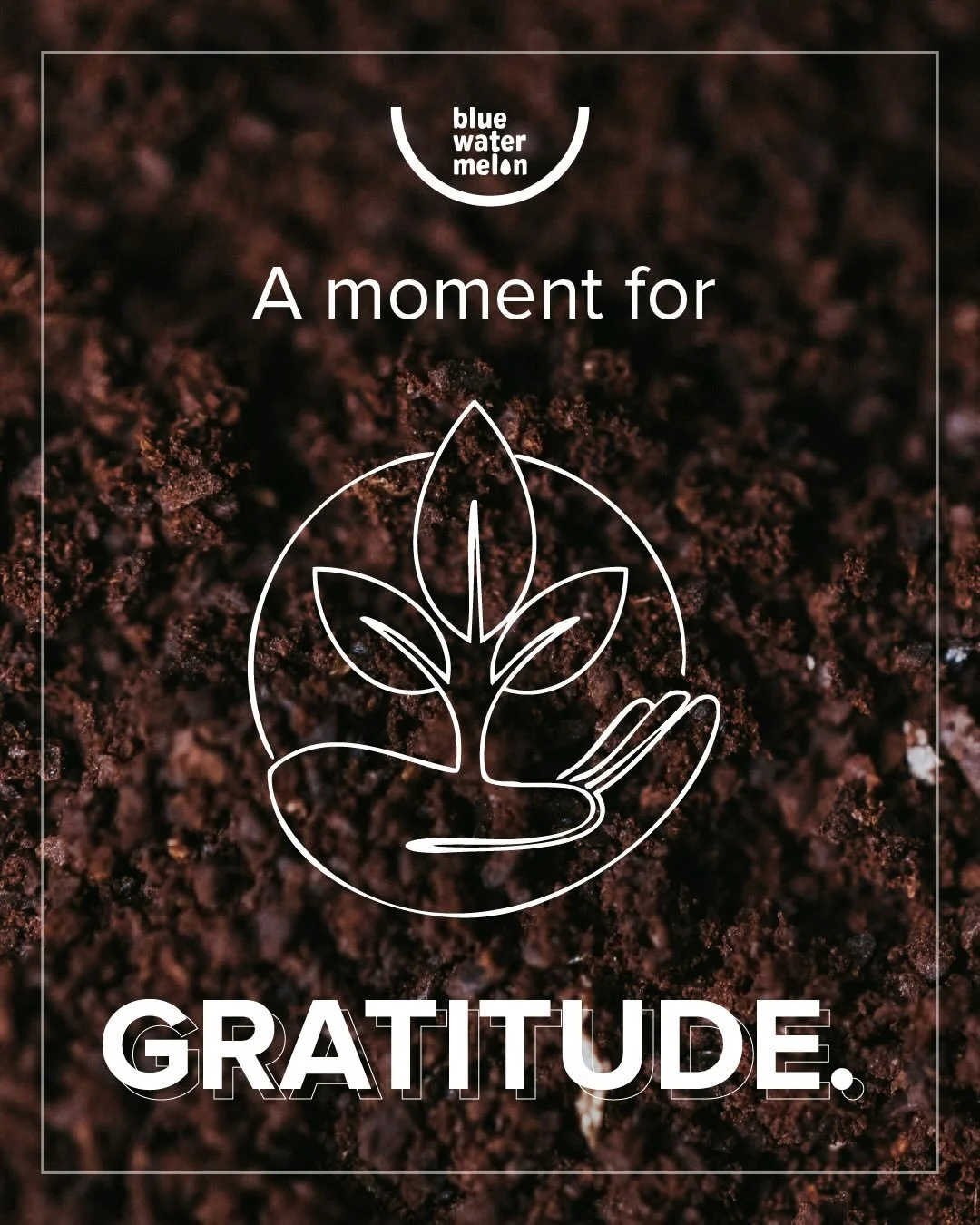 From tasting their first tomatillos to cracking their first eggs, over 2,000 Arizona students learned to plant, cook and chop with confidence this year &ndash; and it&rsquo;s all because of what you made possible. Your gifts, time and donations helpe