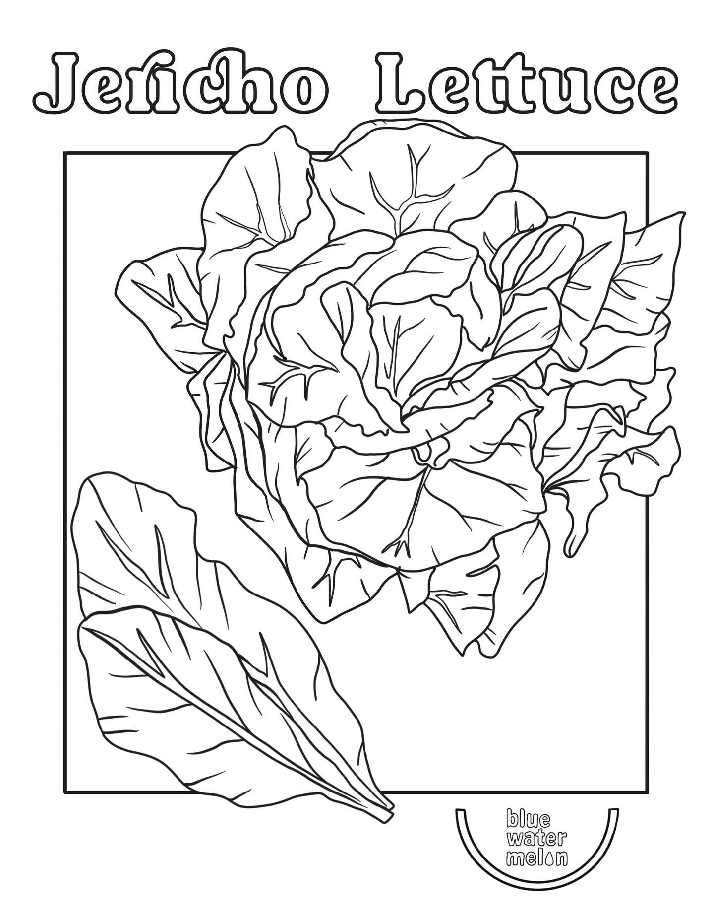 It&rsquo;s December and this month&rsquo;s Chef in the Garden learners explore more about Jericho lettuce! 🥬 Jericho lettuce was originally bred in the deserts of Israel and is very heat resistant. Because of this, Jericho is popular in the hot, dry