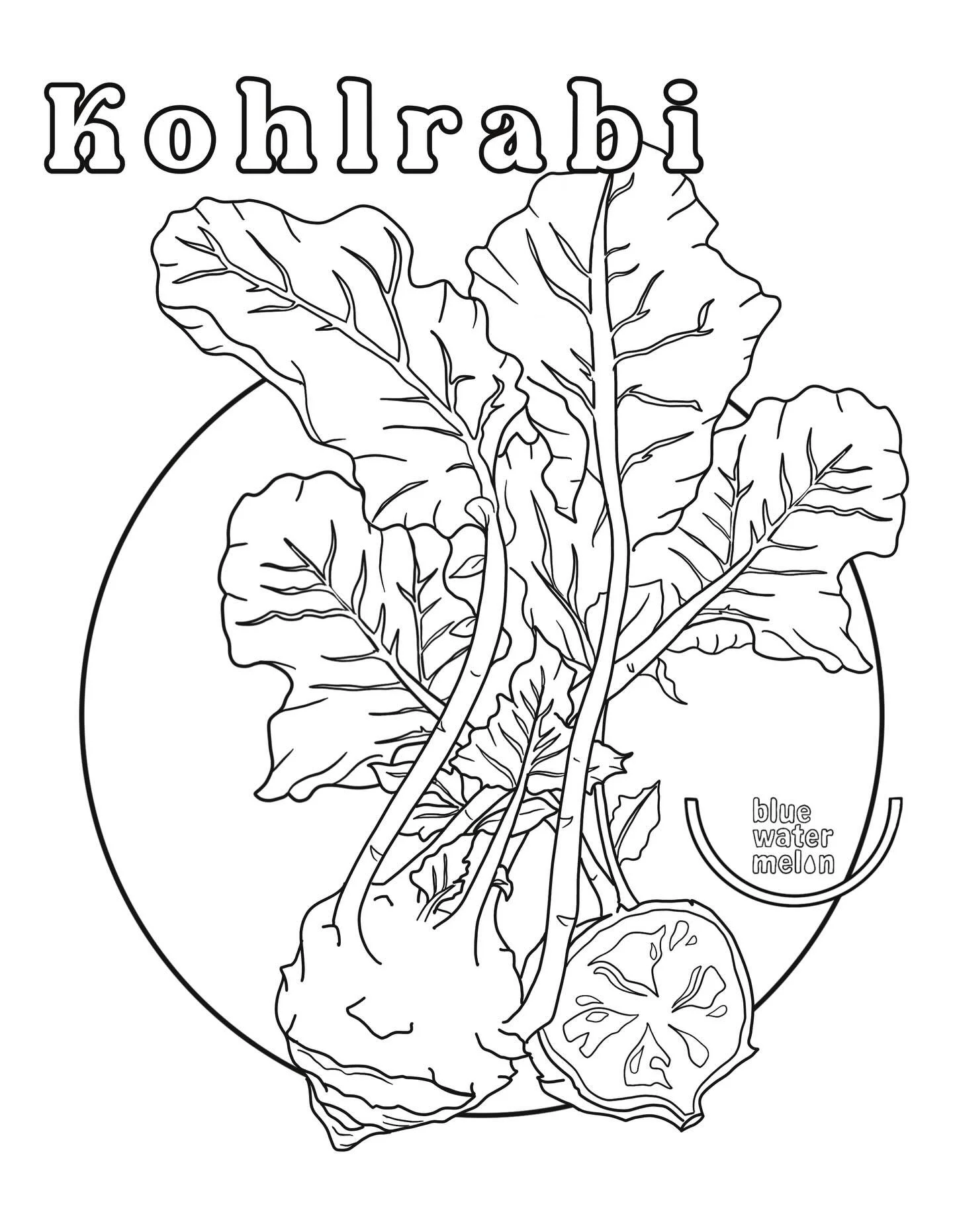 Happy New Year!✨
This January, Chef in the Garden learners explore more about kohlrabi! Originating in regions of Europe and still widely grown, kohlrabi is a member of the cabbage family and has a very unique appearance. It has a large, edible, bulb