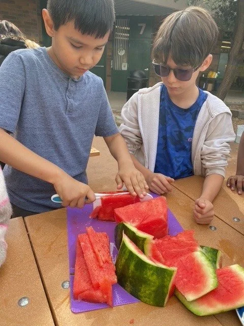 March was filled with so much learning and growing! 🌱 We explored all about watermelon through Chef Christa&rsquo;s Fresh Watermelon Salad @chubbychrist and planting education from Gardener Melissa @the_desert_smells_like_veggies! 

As this month co