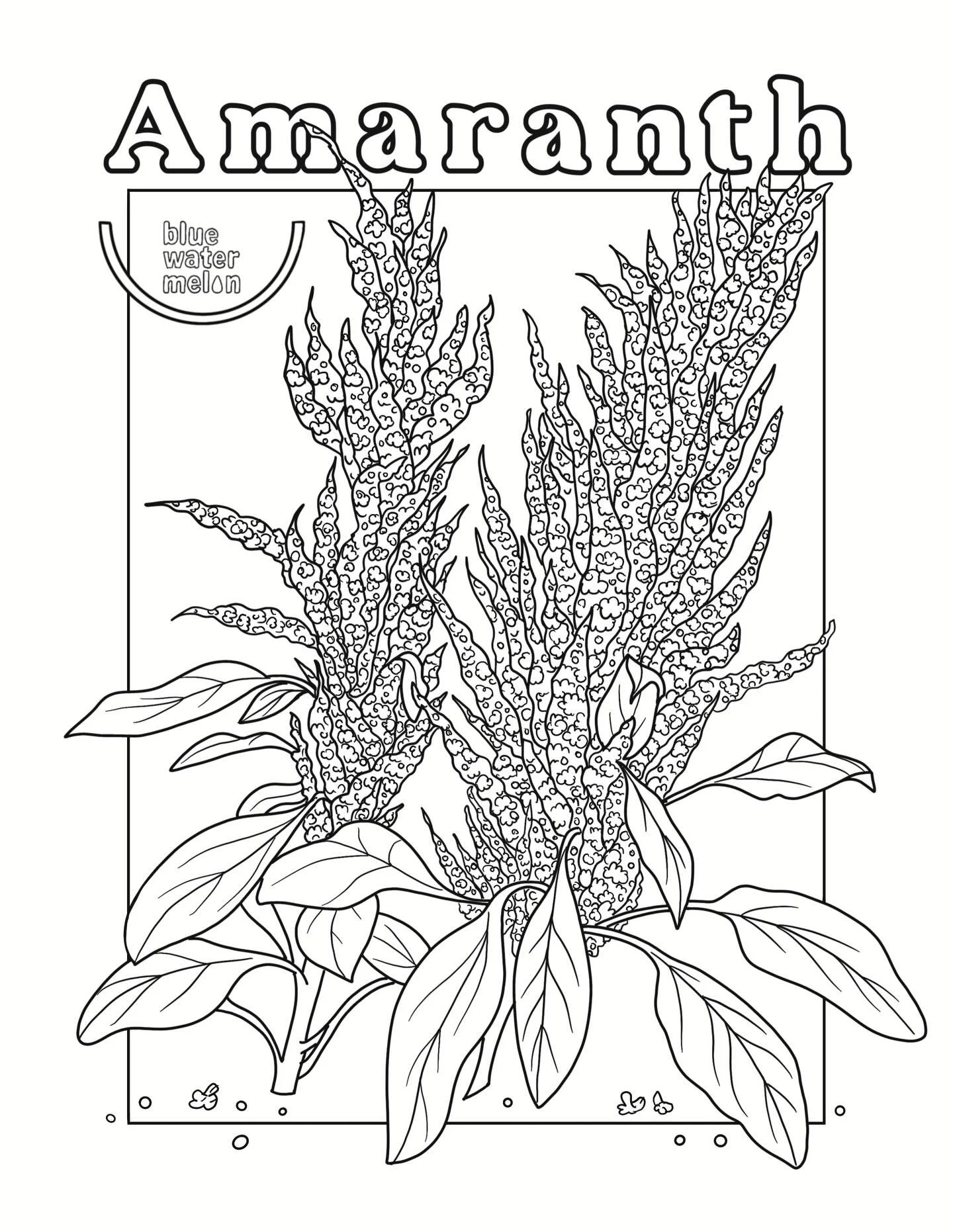 This April, Chef in the Garden learners explore all about amaranth! 🌾 Amaranth is special because different parts of the plant can be used in many ways. The leaves can be cooked like spinach and eaten as a leafy vegetable. The tiny seeds are gluten-