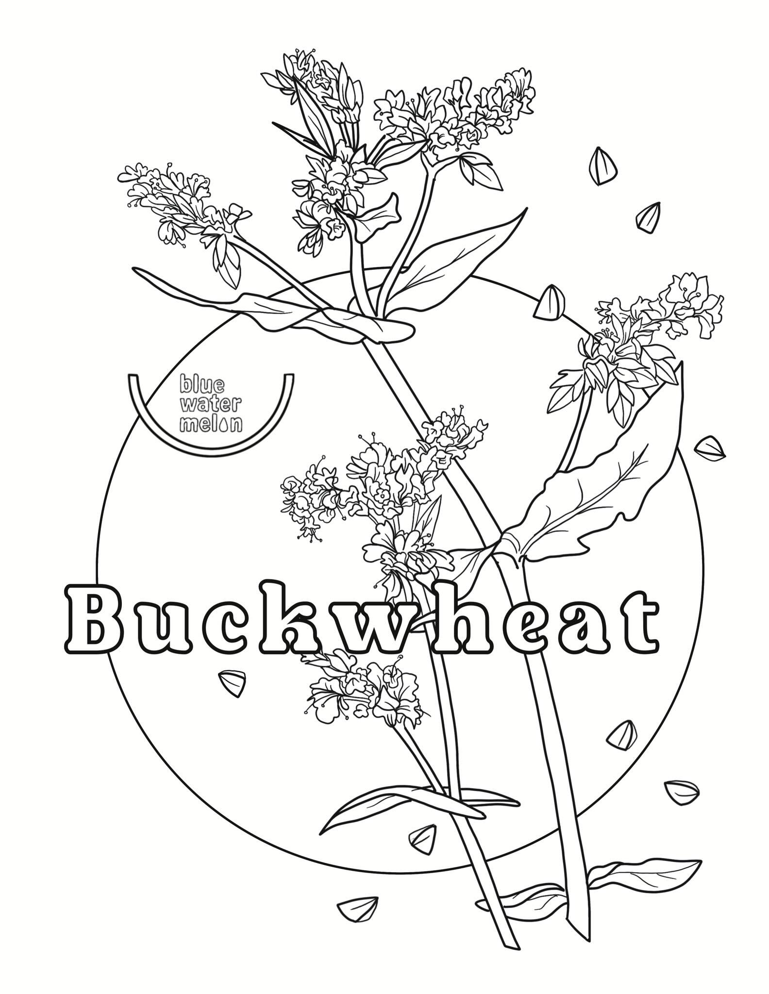 Happy May! 🌸 This month, Chef in the Garden learners explore all about buckwheat. Although it has &ldquo;wheat&rdquo; in the name, buckwheat is not wheat and doesn&rsquo;t contain gluten. It is a seed from a leafy plant closely related to rhubarb an