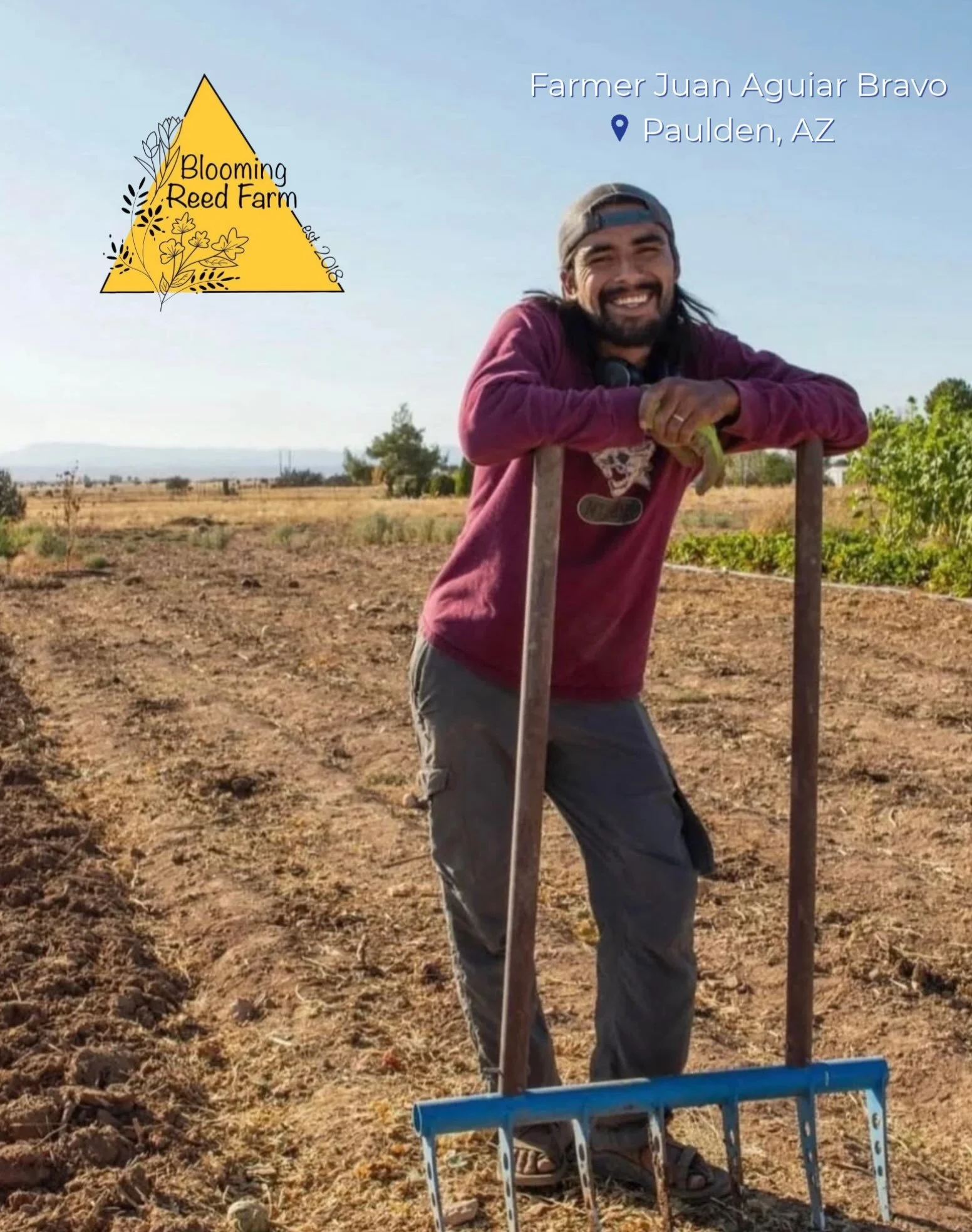 🌱🌻 Celebrating National Farm to School Month with Blooming Reed Farm!

Meet Blooming Reed Farm, a family-owned farm established in 2018 by Juan Aguiar Bravo and his wife, Keeton, in Paulden, Arizona! 

From vibrant flowers to fresh vegetables, Bloo