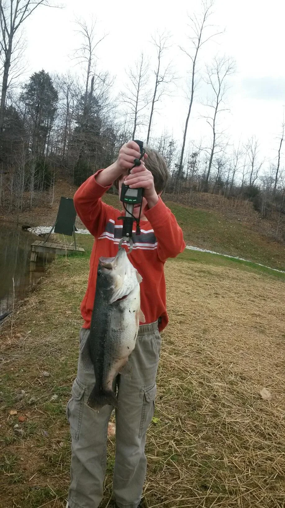 Fish Stocking Kentucky Pond Stocking Kentucky Lake Management