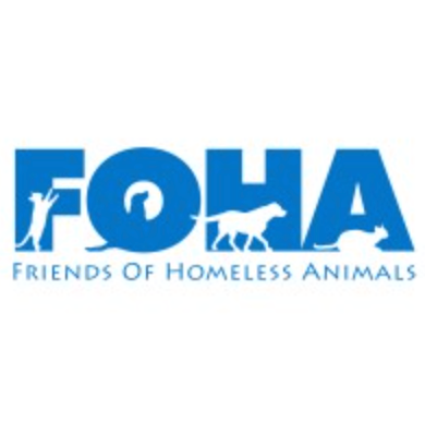 Volunteer at FOHA