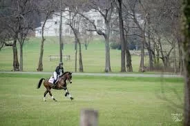 Horse Trials at Morven Park