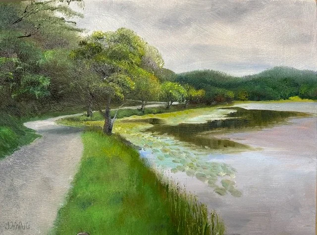 Forest IMG_2488.jpeg