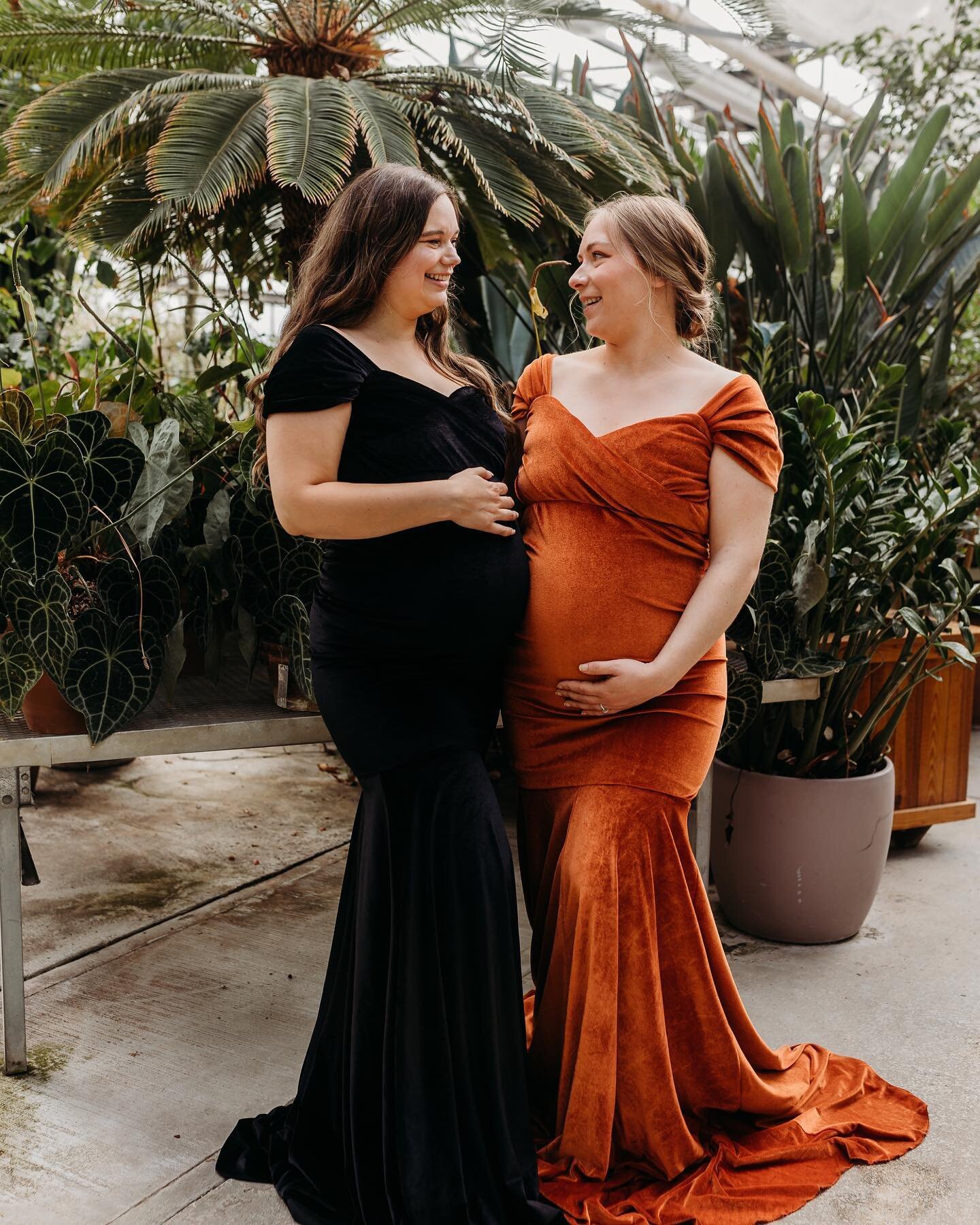 bestie pals zoe + tori got to model my reign &amp; madison dresses the other day 🔥 

#maternitysessions #besties #maternitymodelcall #velvetdress #greenhousesession #jberphotographer #jbermaternityphotographer #richmondvaphotographer #richmondva #vi