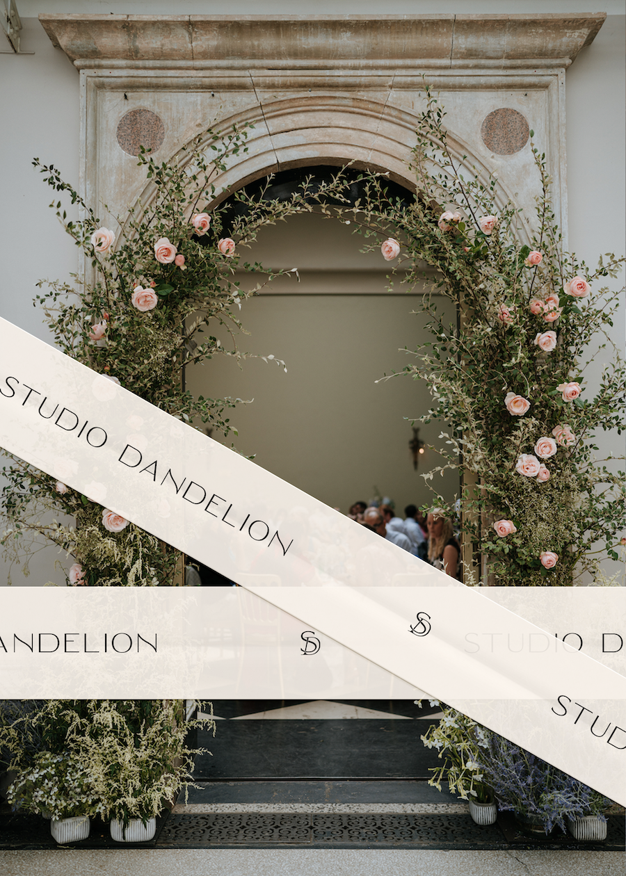 Studio Dandelion • Squarespace   View Project 