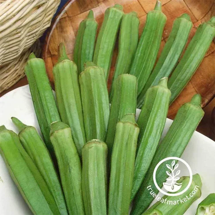 Okra-Seeds-Clemson-Spineless-80-Comp.webp