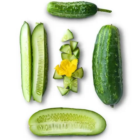 cucumber_boston_pickling.webp