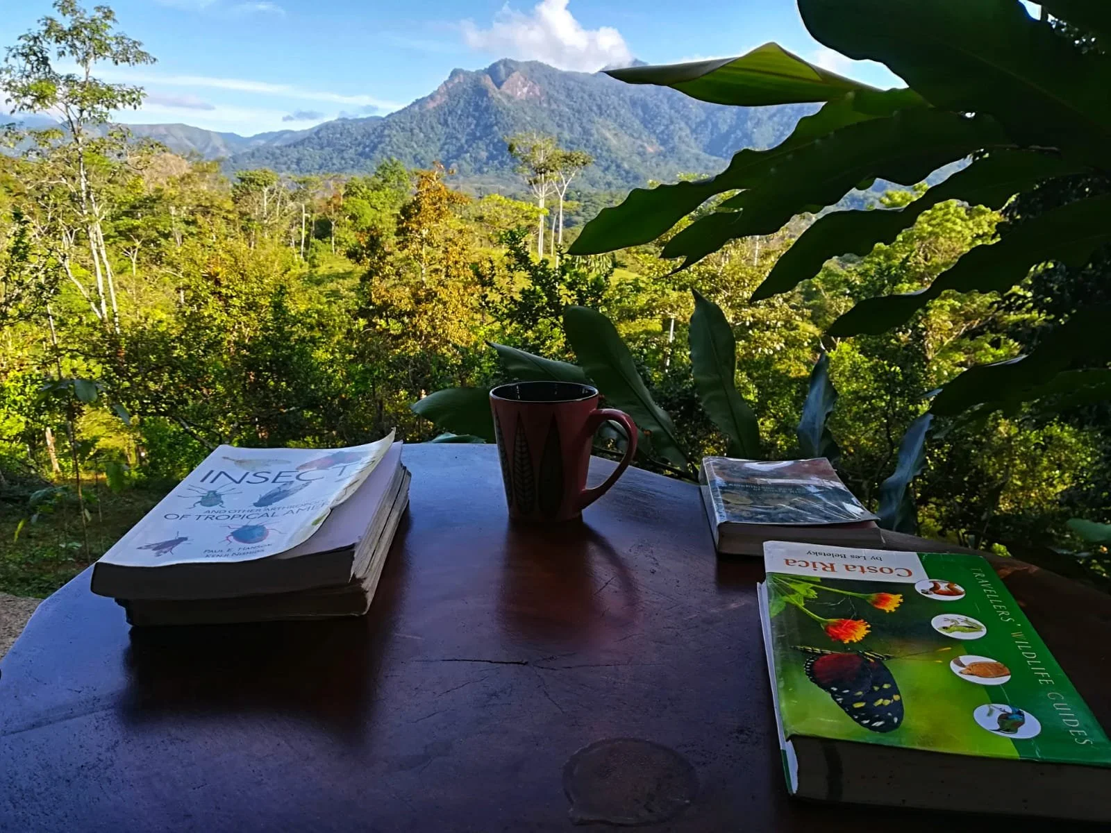 87a73633-1886-4af2-a886-ec0a08bdf65a (1).jpg