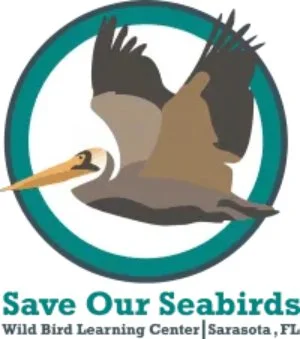 Save Our Seabirds