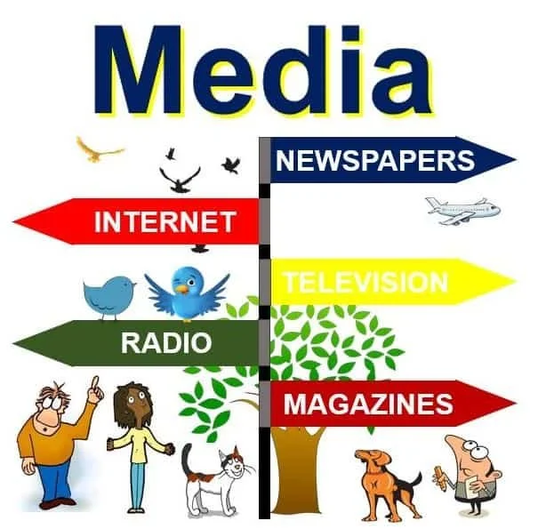 Media Literacy: Is it True?