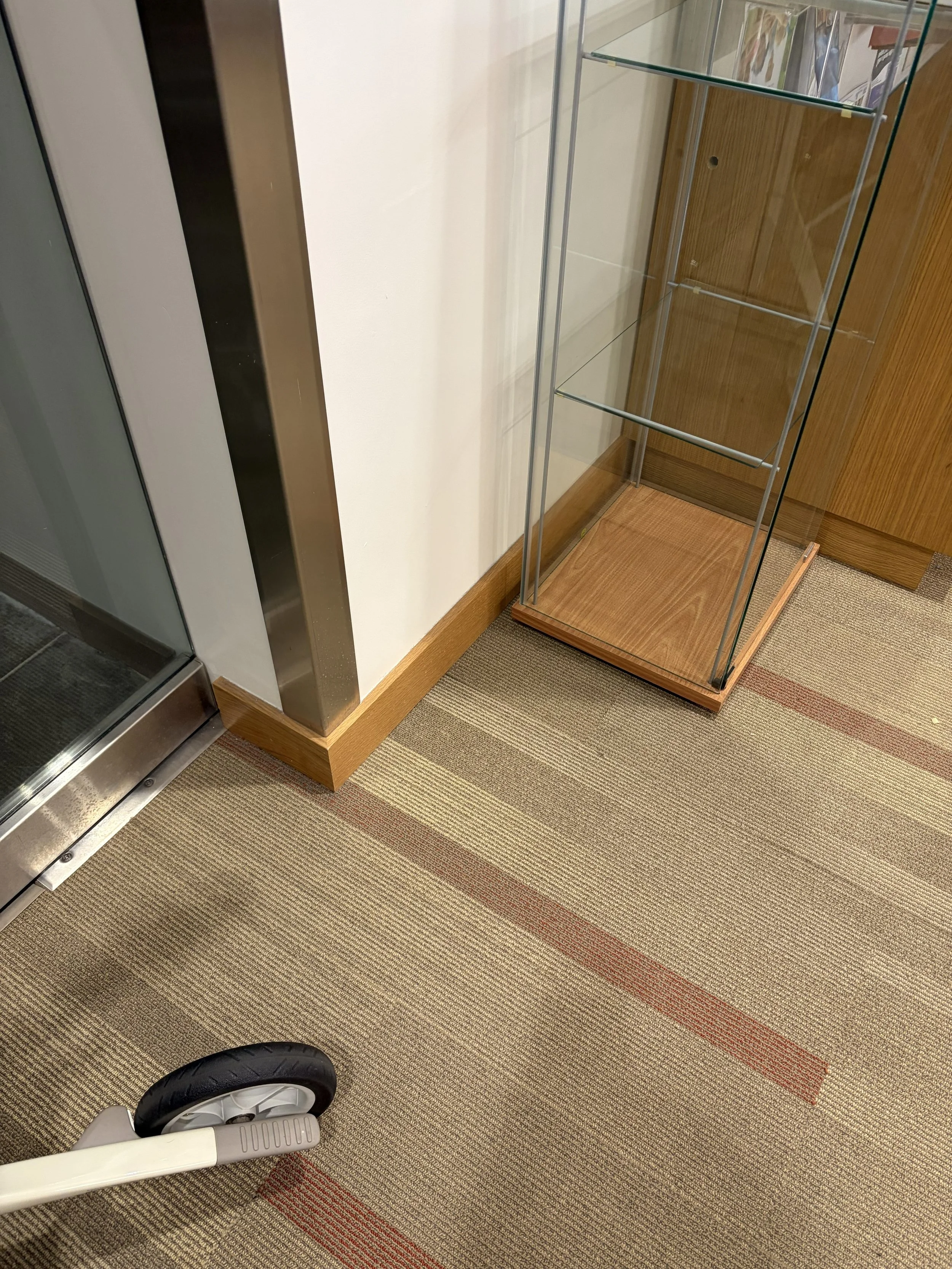 Display case_bottom shelf.jpeg