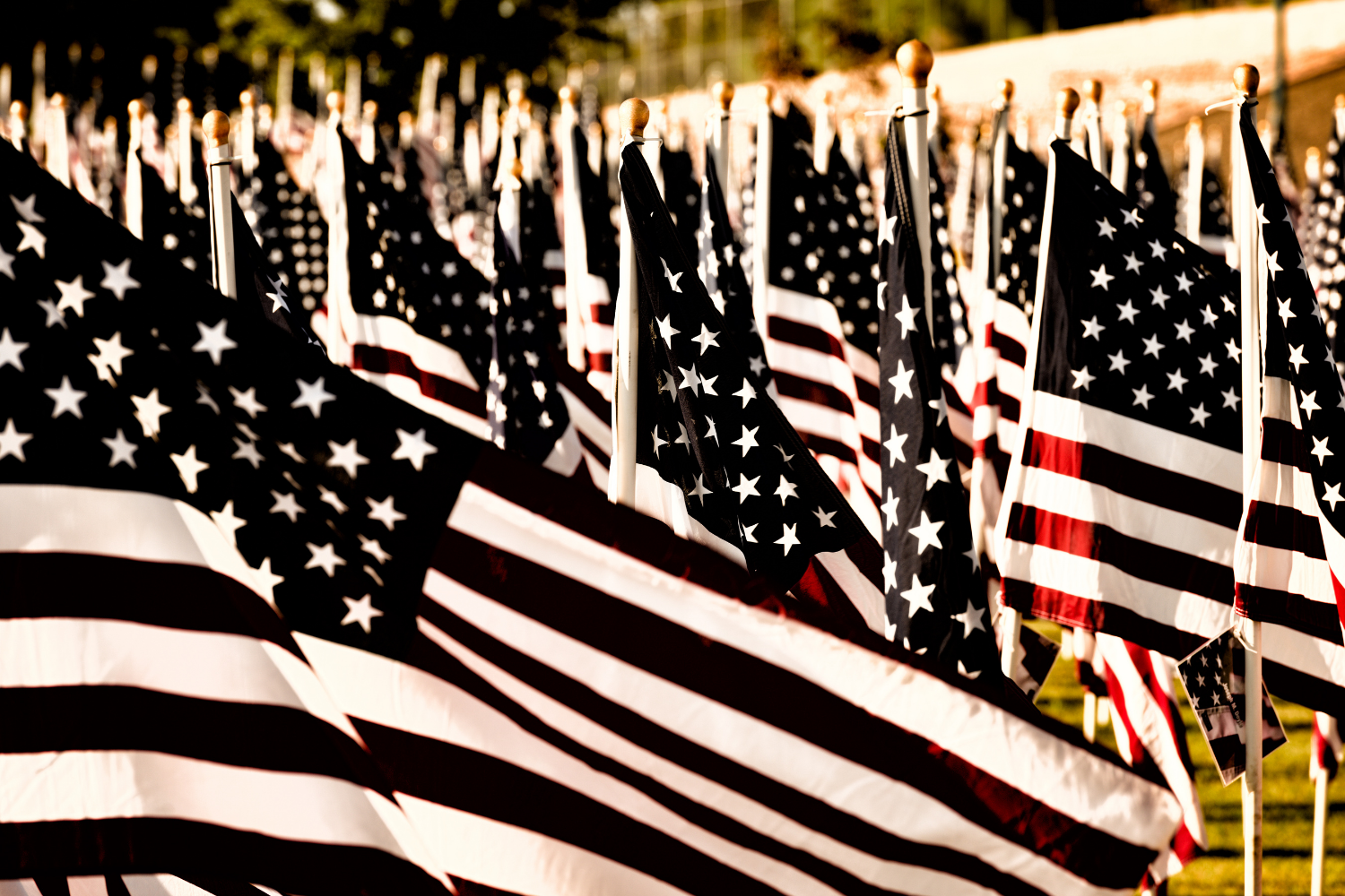 History at Venice Library: Venice Connection to 9/11