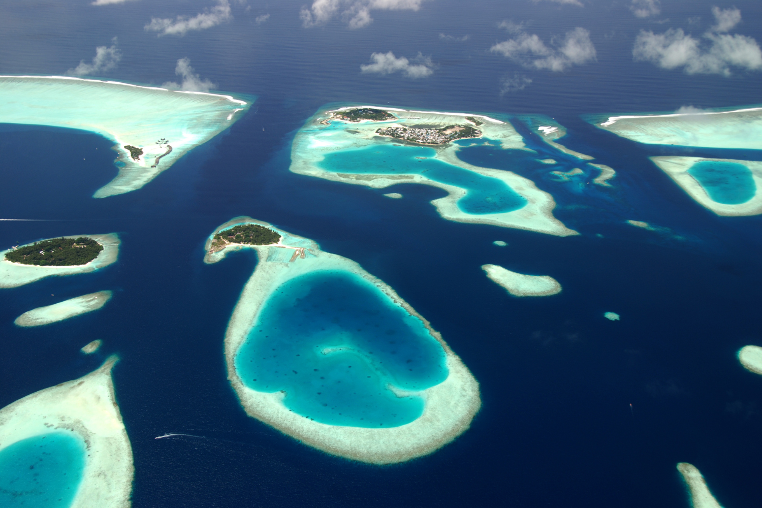 Travelogue: Kerala and the Maldives