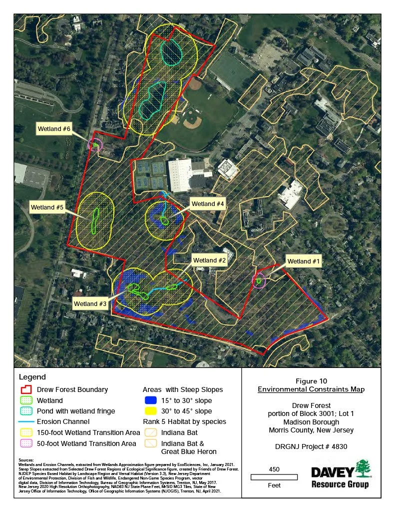 Maps — Friends of the Drew Forest