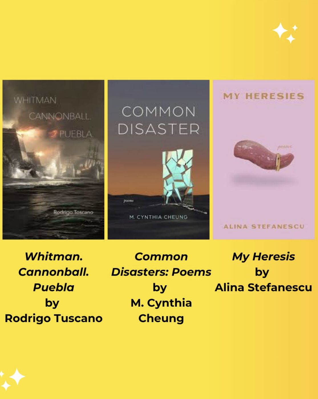 Review of Common Disaster