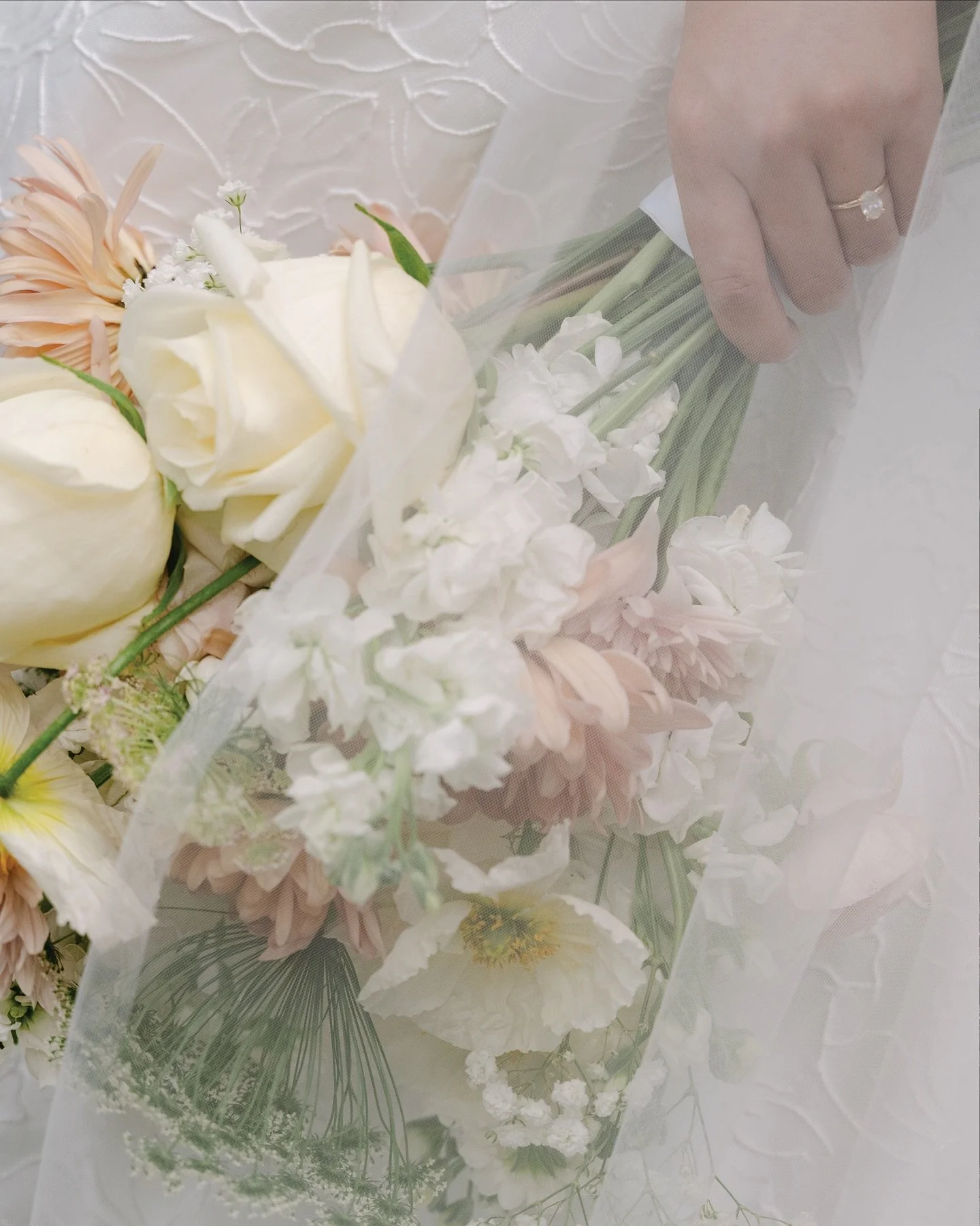 Jocelyn &amp; Jeremiah / 09.01.2025 / Ivory North / Mora, MN