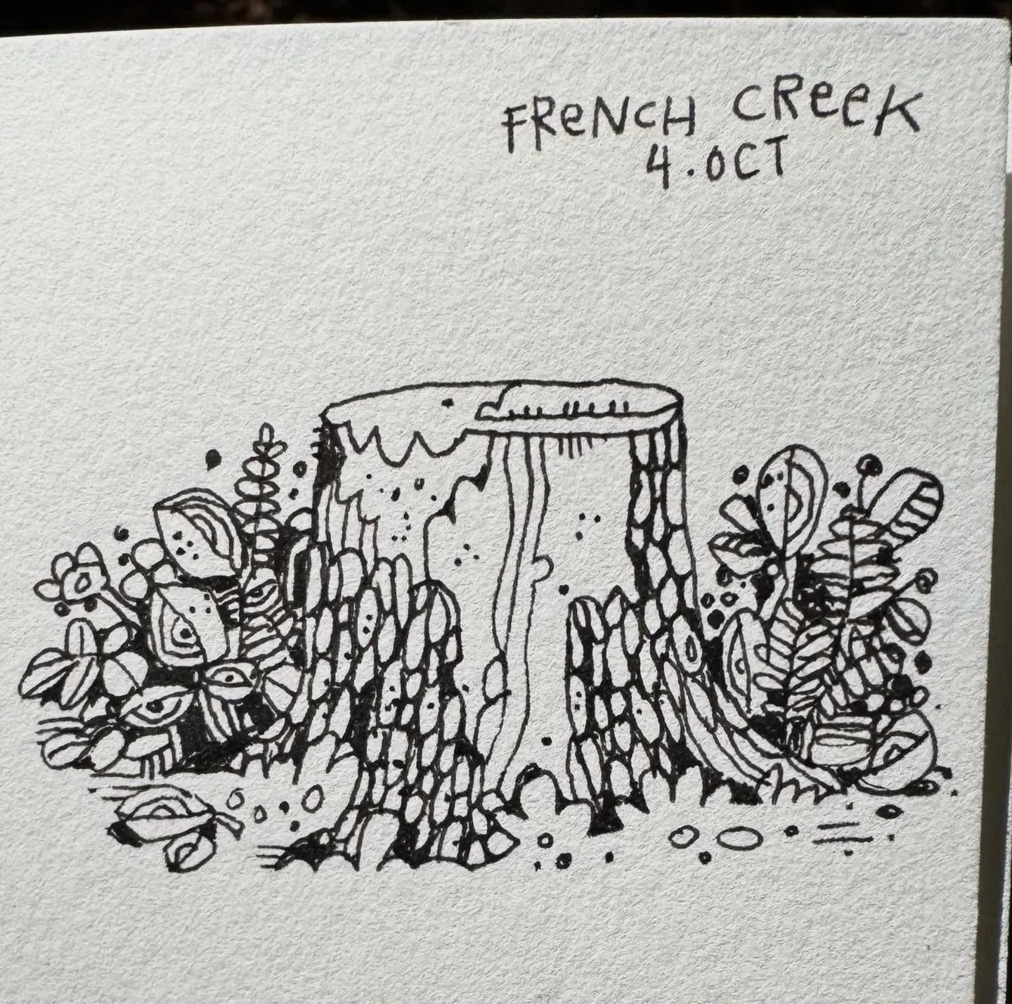 A perfect weekend of camping and riding and drawing this weekend.