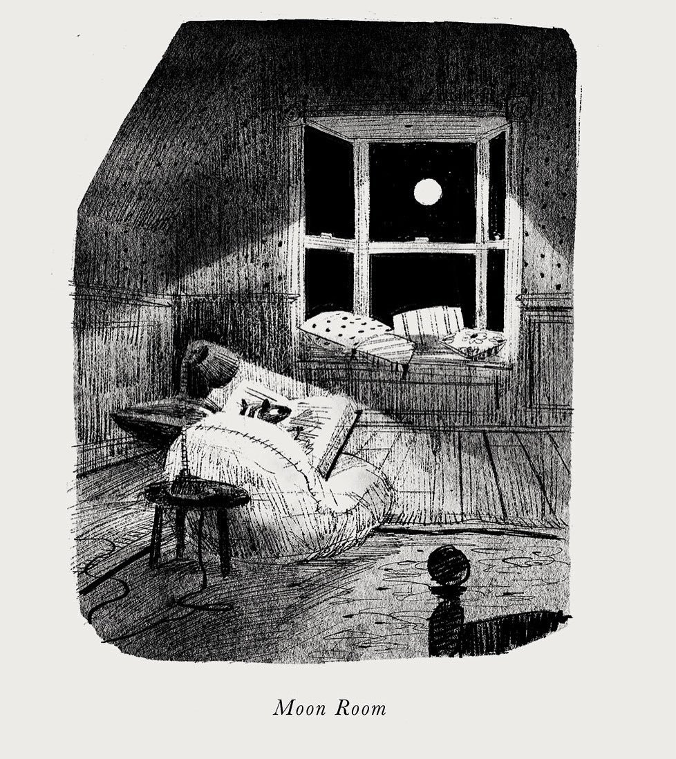 Skunk & Badger : Jon Klassen