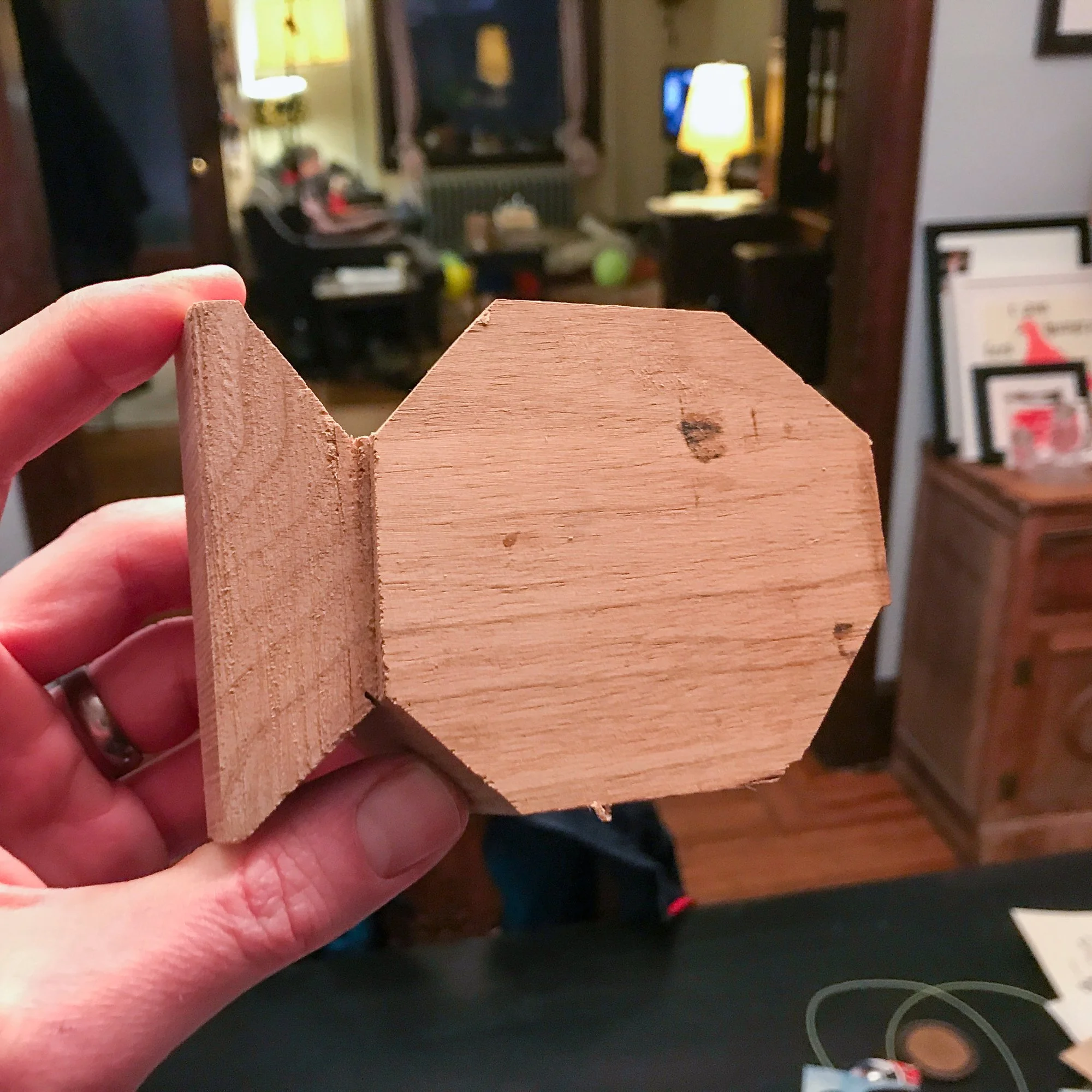 20210206_butternuut fish begin_005.jpg