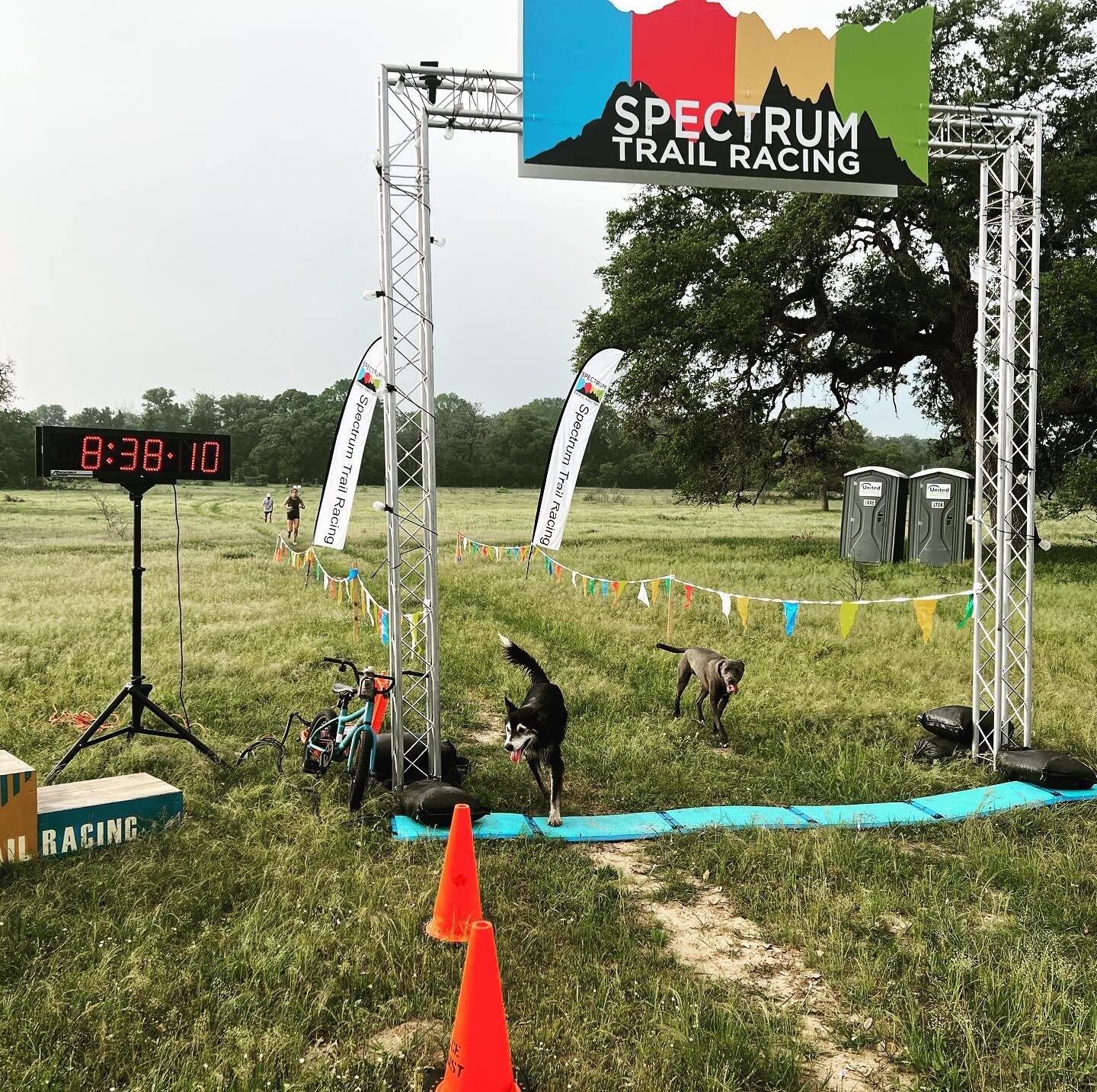 Resident 88 Ranch dogs, Marty &amp; Muskett, finishing their first yard!! #88Ranch #thegame #spectrumtrailracing