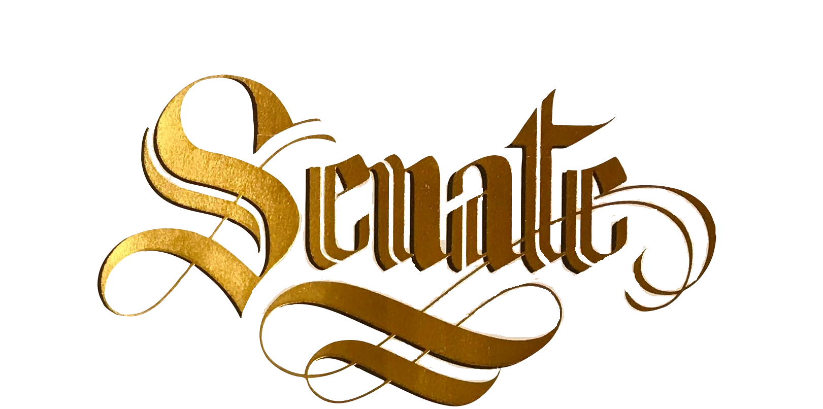 Gold and brown ornate script spelling the word 'Statute' on a white background.