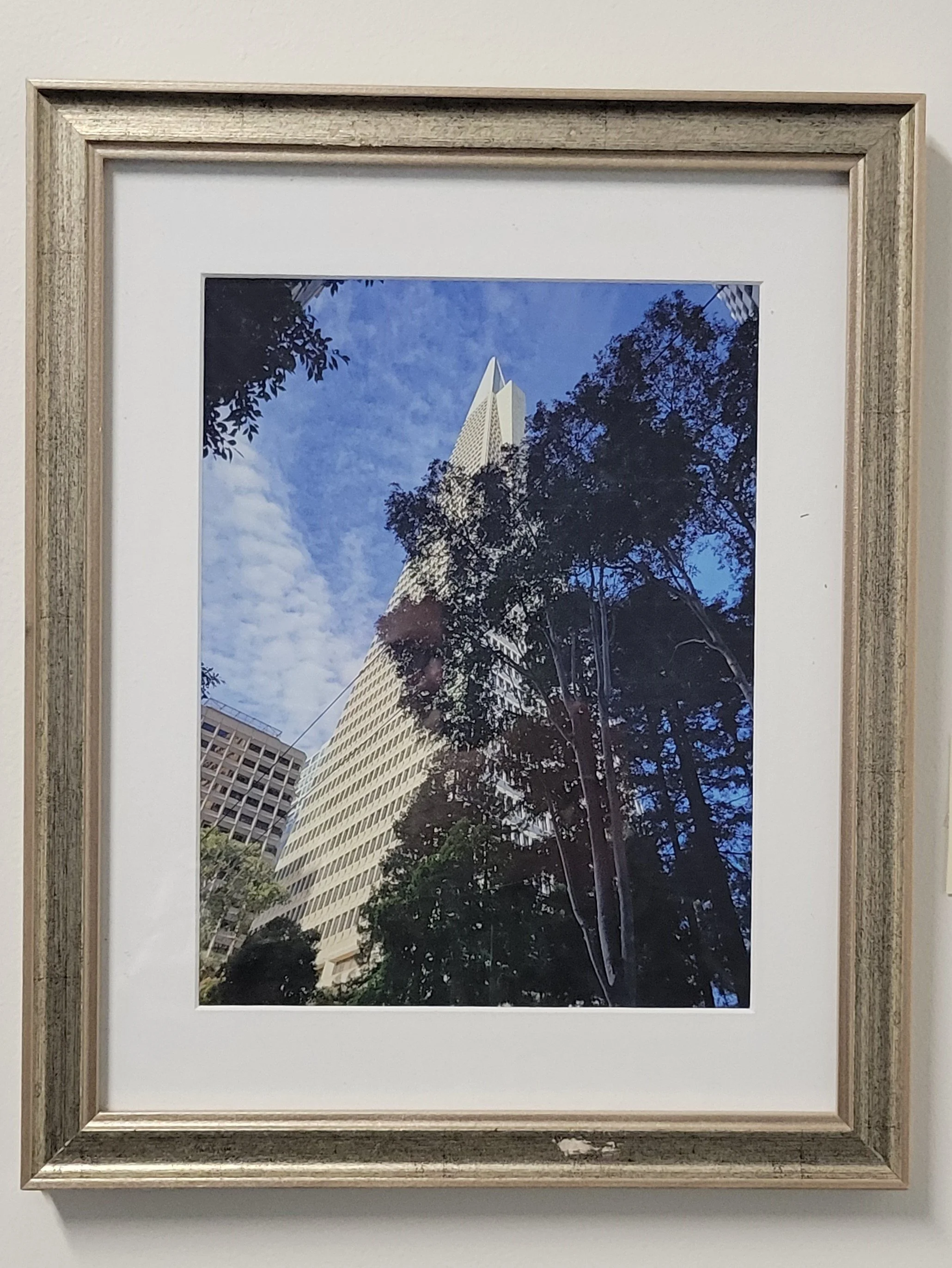 Transamerica Building SF.jpg