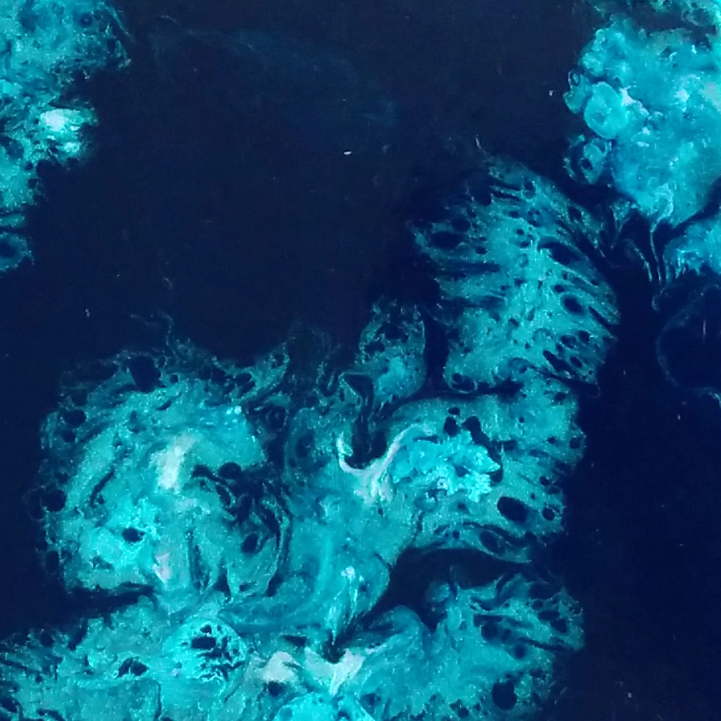 macro sea panel 3.3.2015.jpg