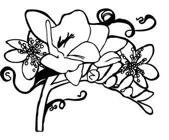flower_illus_3.jpg
