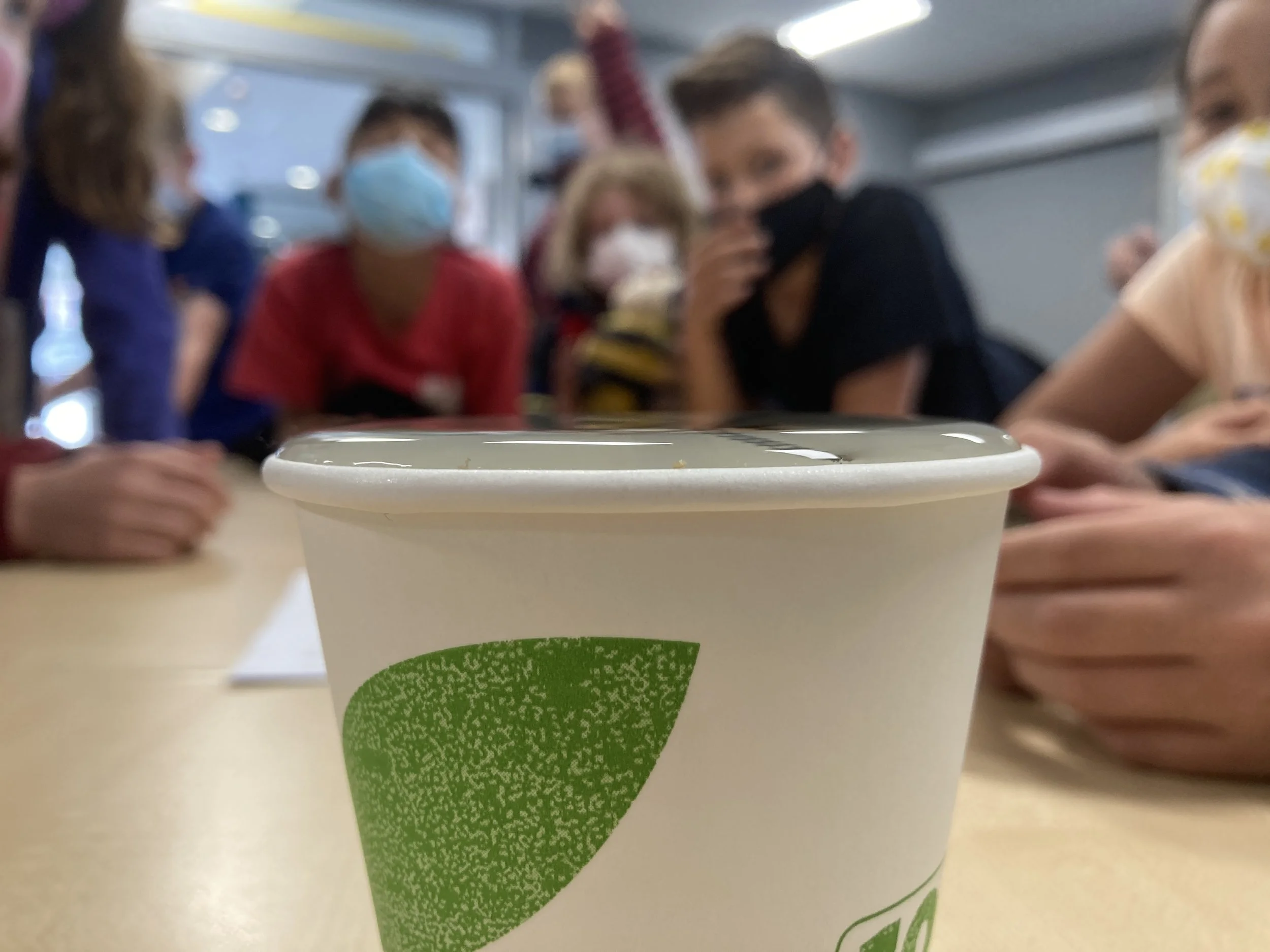 Here we are learning about Surface tension. The class managed to fit 52 screws into a full cup of water before the "thin skin" of molecules  gave way and overflowed. 