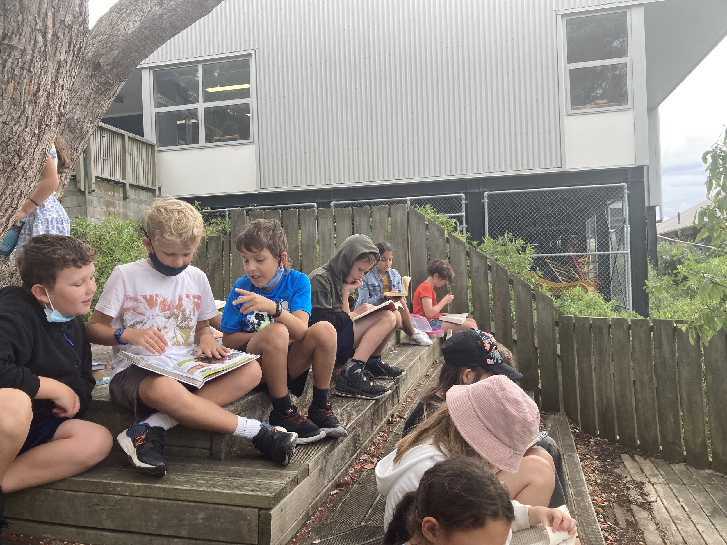 Reading outside under the amazing pohutakawa. 