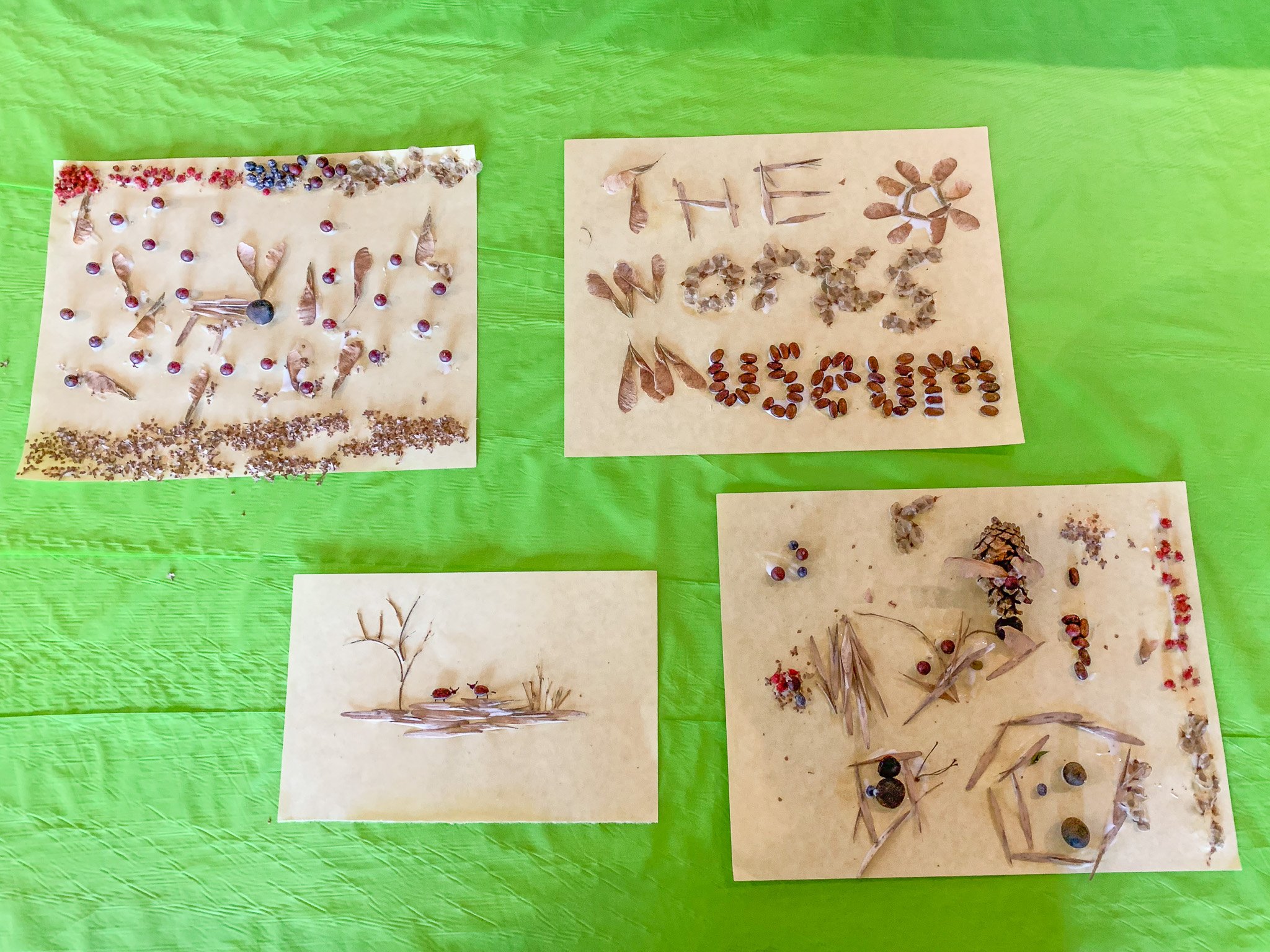 Seed Art with Hennepin County