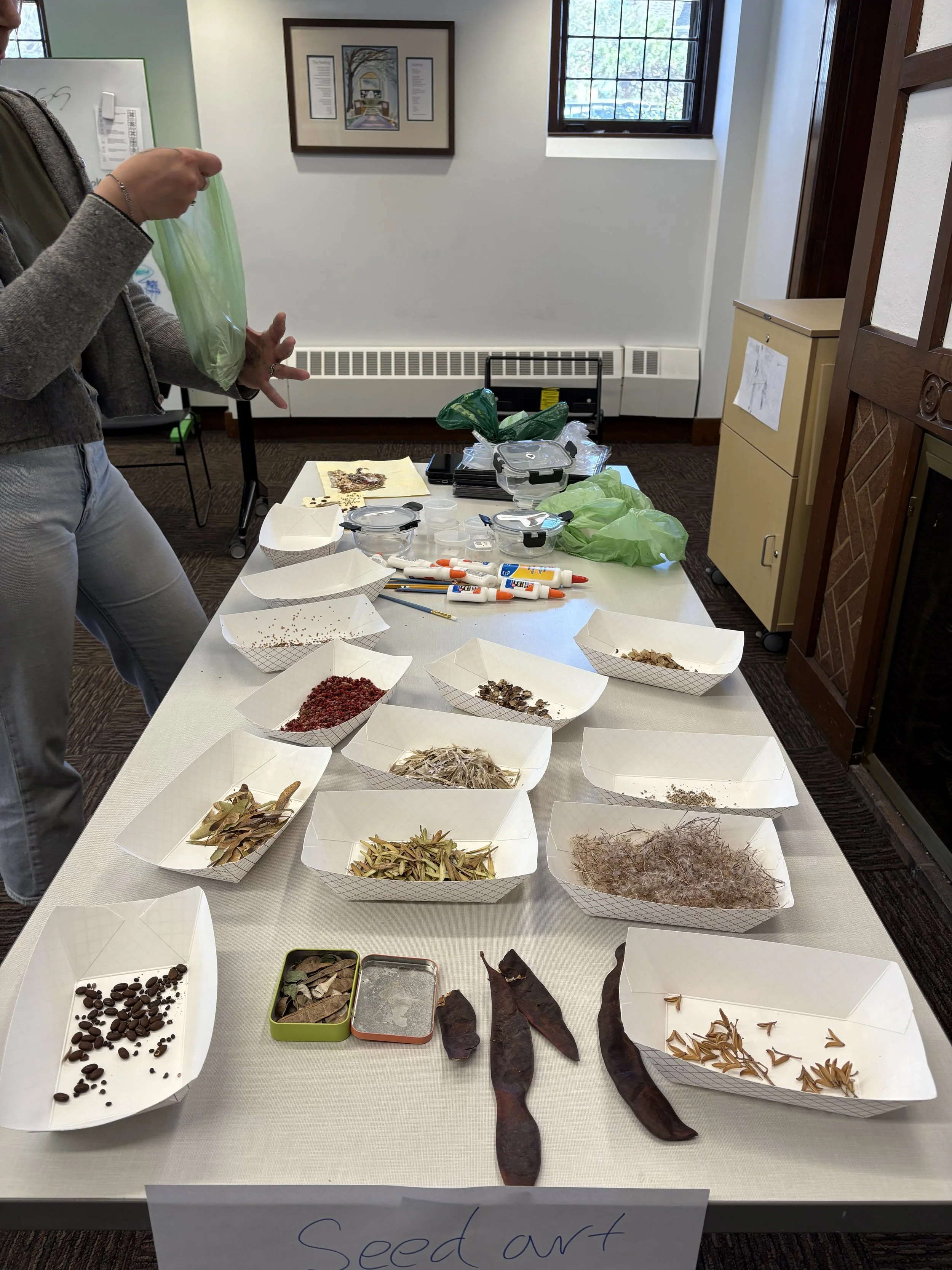 A table displaying various seed specimens and seed art, with bowls of seeds, seed pods, and plant materials, arranged for a seed art project. There are tools and supplies for creating seed art, and a person is holding a plastic bag nearby.