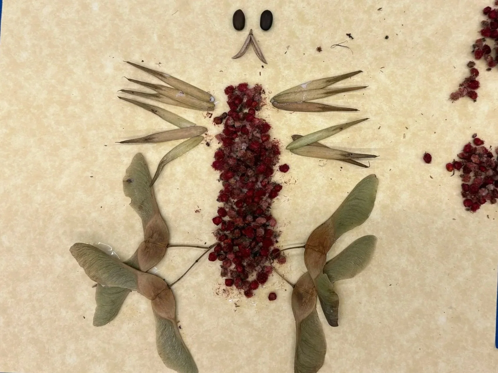 An arrangement of dried botanical parts forming a crab or shrimp shape on a beige surface, with a face made of small black stones and nose made of two small dark objects.