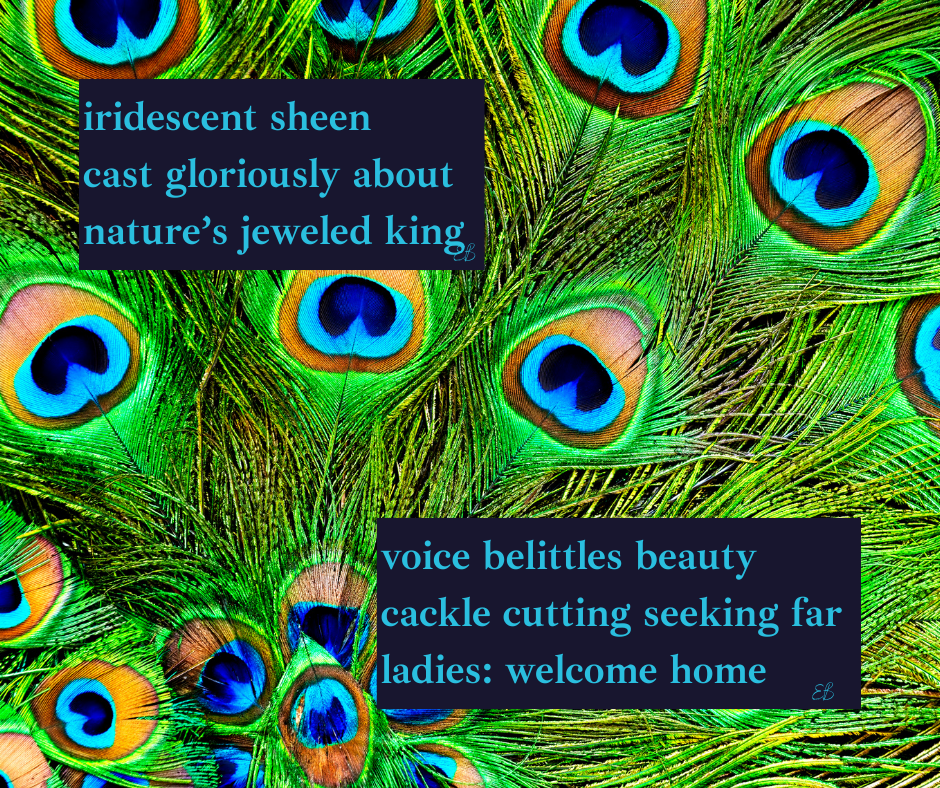 William Burlingame-Haiku Poetry